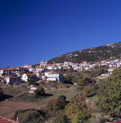 Ελασσόνα-Σπαρμός29