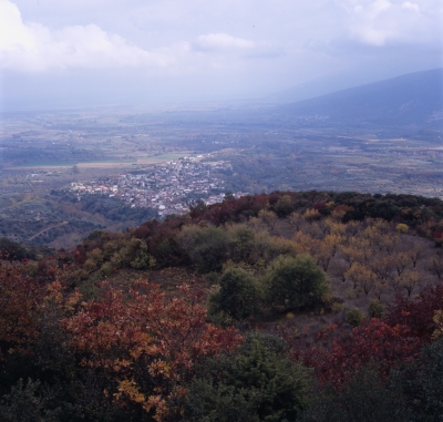 Ραψάνη-Πυργετός4