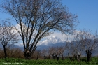 Τοπίο Κισσάβου από δρόμο προς Συκούριο-Σπηλιά